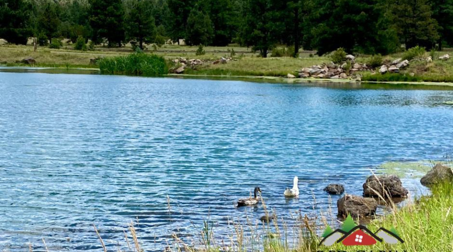 Red Cabin Ranch
