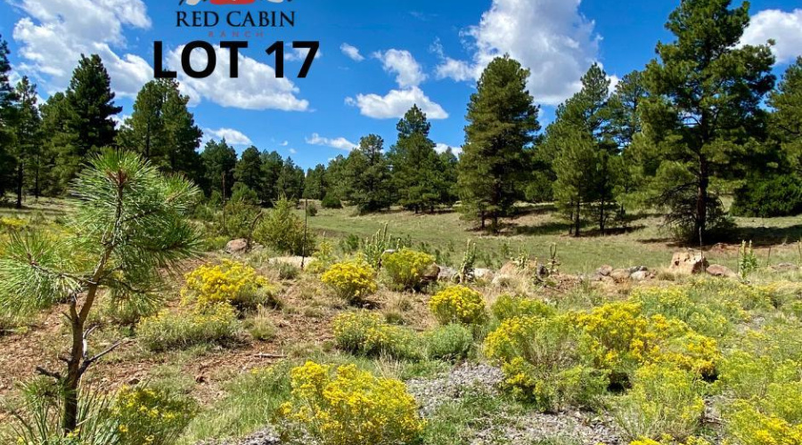 Red Cabin Ranch