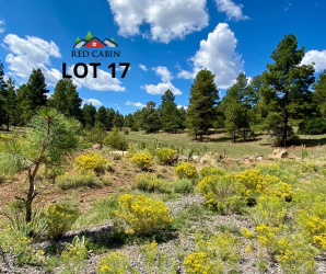Lot 17 Red Cabin Ranch, Vernon, Arizona 85940, ,Land,For Sale,Red Cabin Ranch,253381