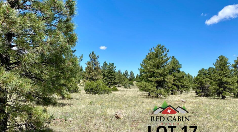 Red Cabin Ranch