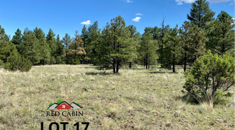 Red Cabin Ranch