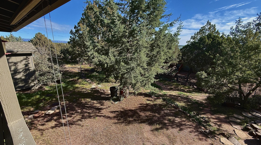 BACK YARD