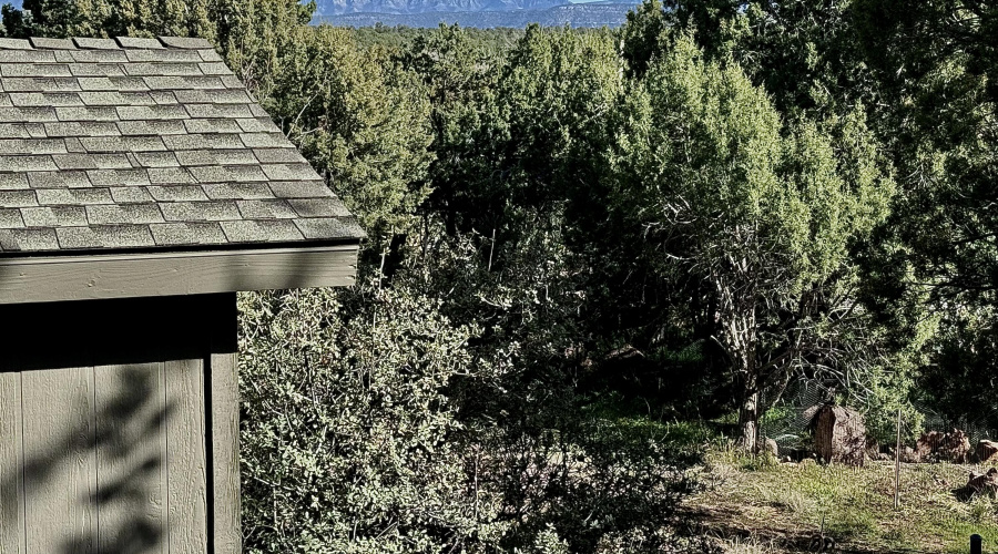 RIM VIEW