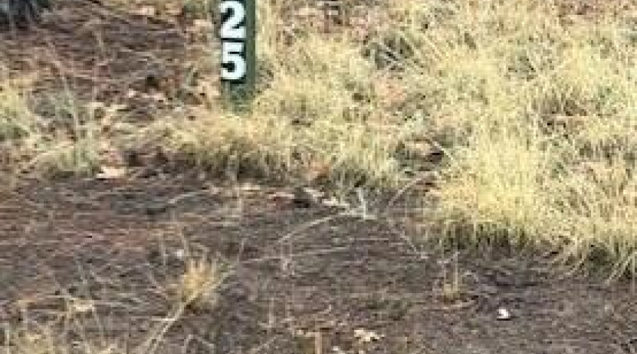 Address