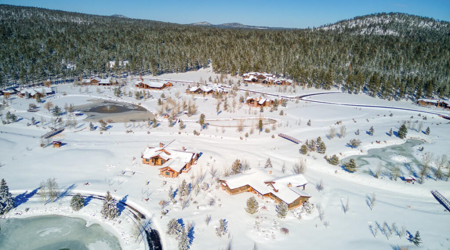 Winter Wonderland