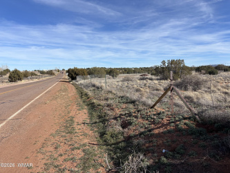 9681 Concho Highway, Snowflake, Arizona 85937, ,Land,For Sale,Concho,259688