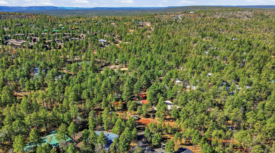 6480LowerRidgeDr-Lakeside-AZ-28
