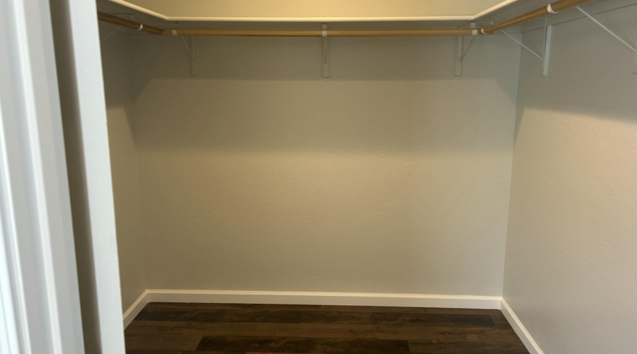 Huge walk in closet