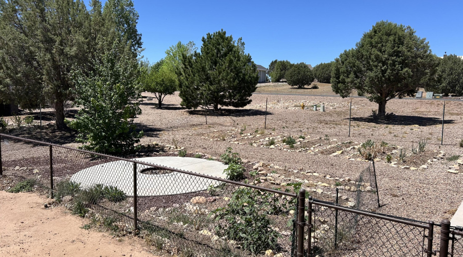 firepit and garden