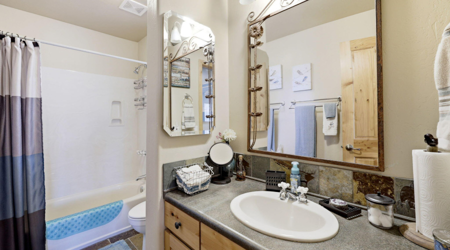 2337PumaCir-Overgaard-AZ-15