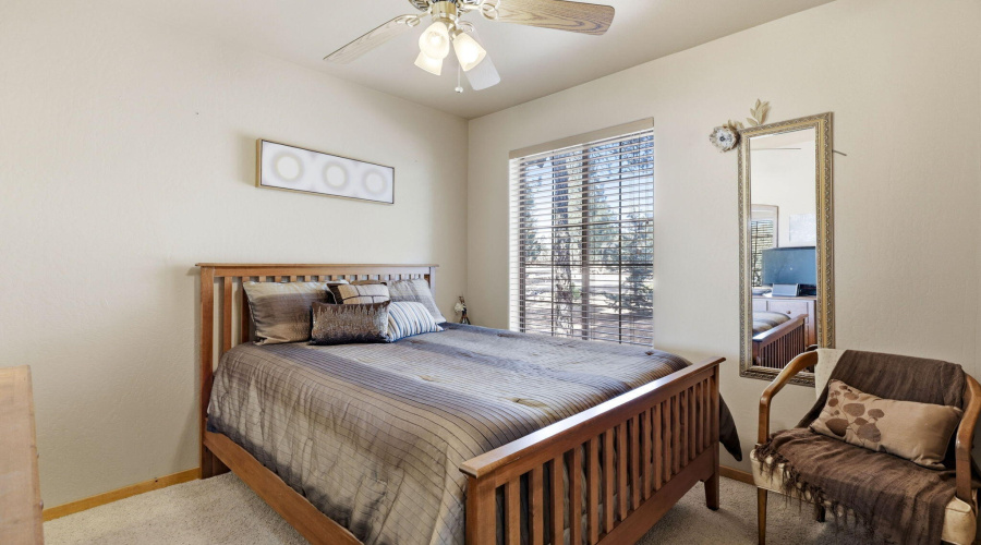 2337PumaCir-Overgaard-AZ-16