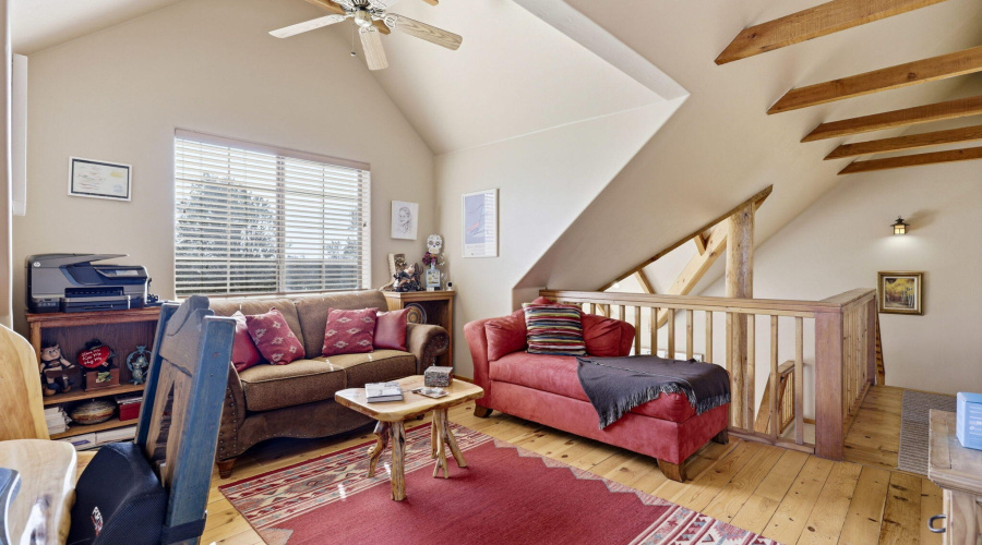 2337PumaCir-Overgaard-AZ-18