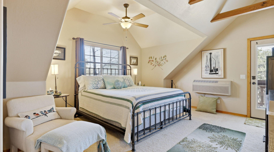2337PumaCir-Overgaard-AZ-19