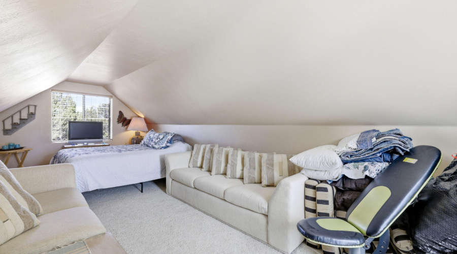 2337PumaCir-Overgaard-AZ-26
