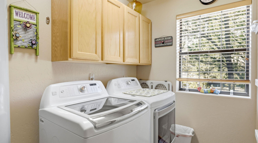 2337PumaCir-Overgaard-AZ-28