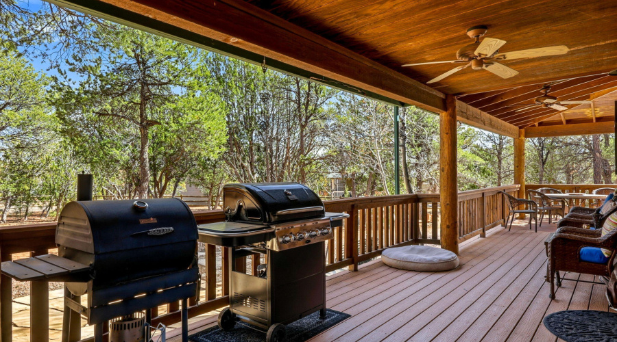 2337PumaCir-Overgaard-AZ-29