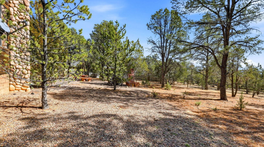2337PumaCir-Overgaard-AZ-33