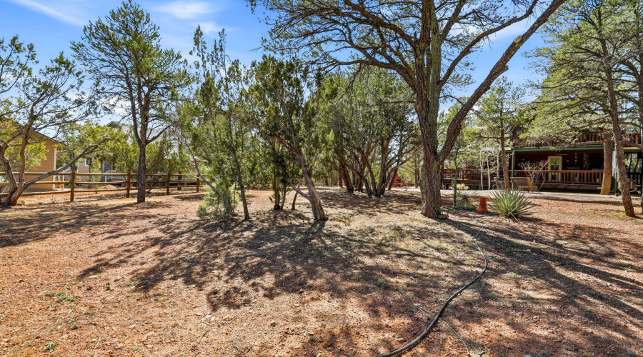 2337PumaCir-Overgaard-AZ-34