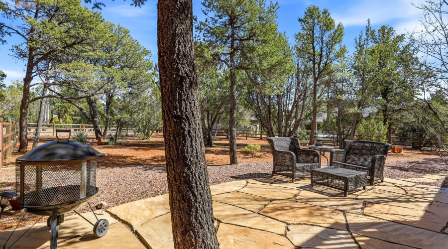 2337PumaCir-Overgaard-AZ-35