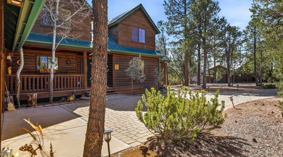 2337PumaCir-Overgaard-AZ-3