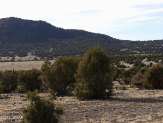 Lot 14D N3411, Vernon, Arizona 85940, ,Land,For Sale,N3411,259704