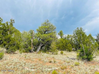 8418 Haven Crest Drive, Happy Jack, Arizona 86024, ,Land,For Sale,Haven Crest,259536