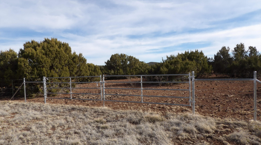 front gate