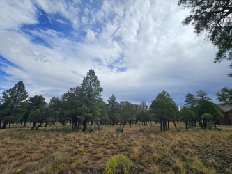 2399 Pine Crest Drive, Happy Jack, Arizona 86024, ,Land,For Sale,Pine Crest,93443