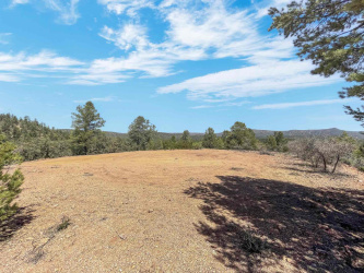 TBD Lonesome Dove Trail, Star Valley, Arizona 85541, ,Land,For Sale,Lonesome Dove,93507