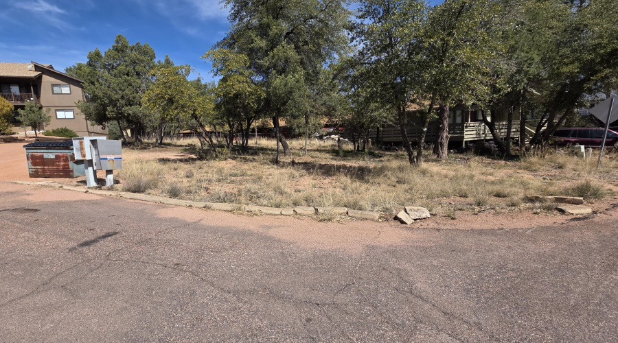 Curb View