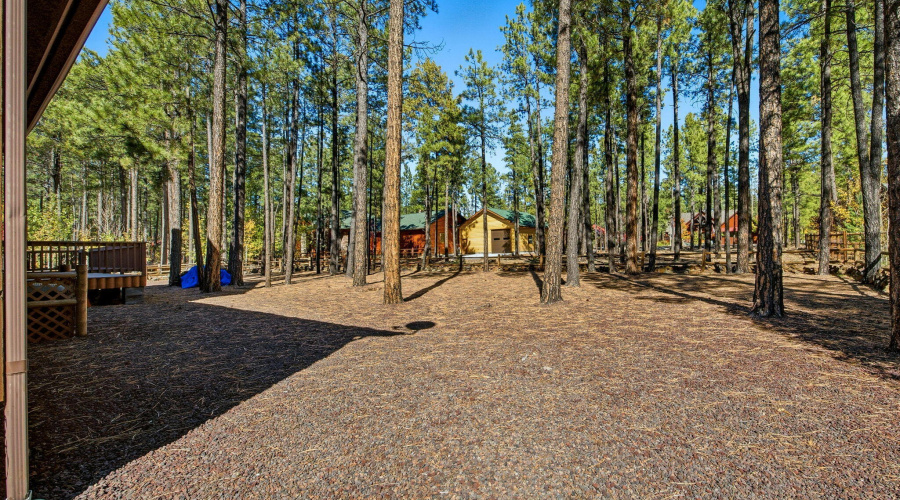 8496PinewoodDr-PinetopAZ-8