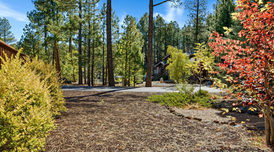8496PinewoodDr-PinetopAZ-5