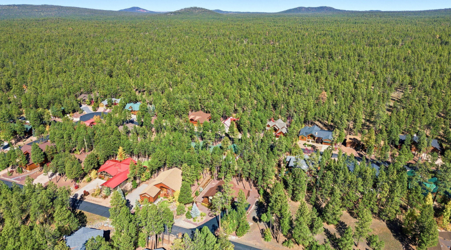 8496PinewoodDr-PinetopAZ-19