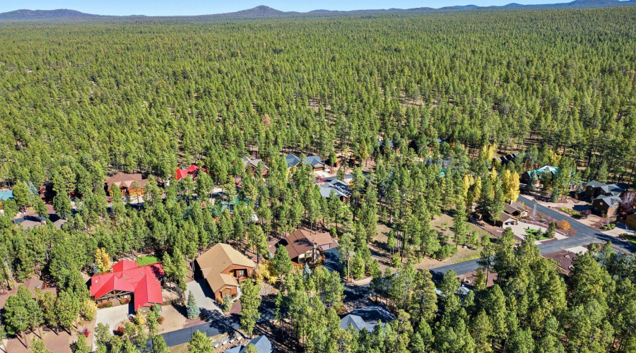 8496PinewoodDr-PinetopAZ-20