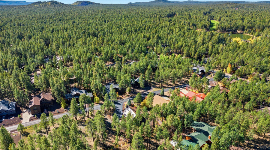 8496PinewoodDr-PinetopAZ-21