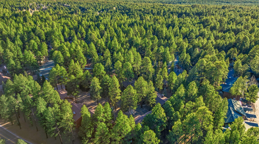2582MustangCir9A-PinetopAZ-29