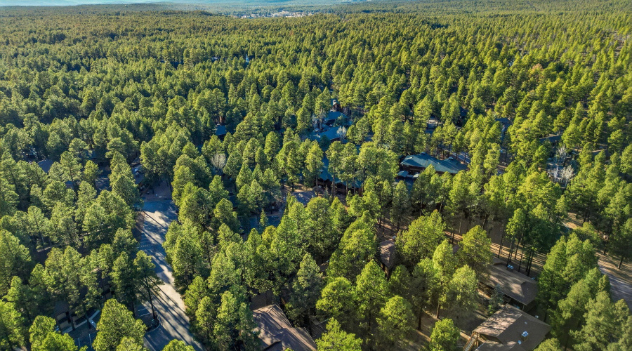 2582MustangCir9A-PinetopAZ-30