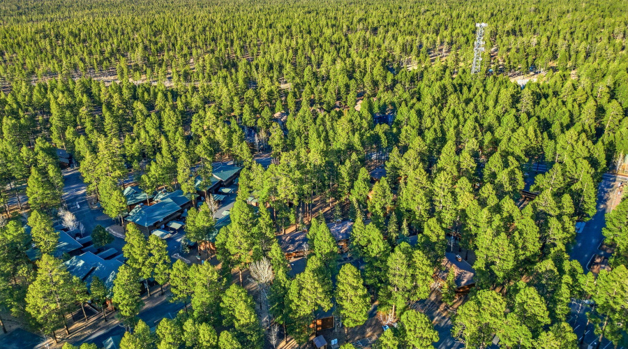 2582MustangCir9A-PinetopAZ-31