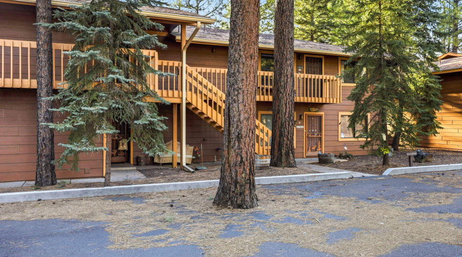 2582MustangCir9A-PinetopAZ-3