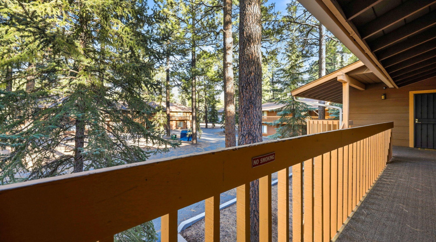2582MustangCir9A-PinetopAZ-4