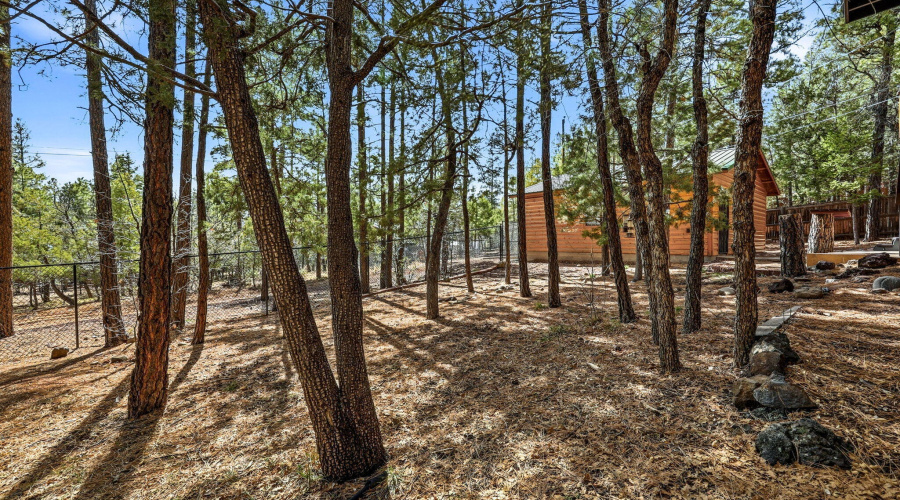 4893BigPineDr-Lakeside-AZ-37