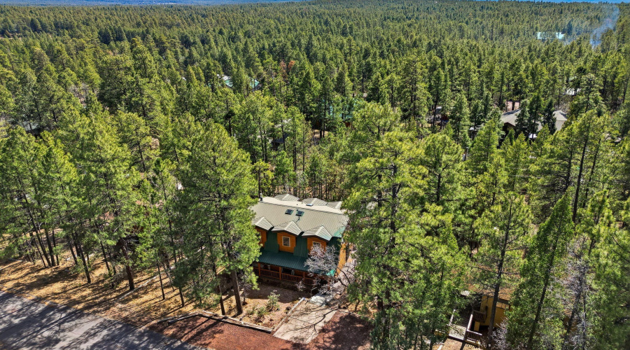 4893BigPineDr-Lakeside-AZ-39