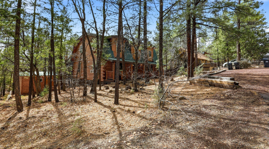 4893BigPineDr-Lakeside-AZ-3