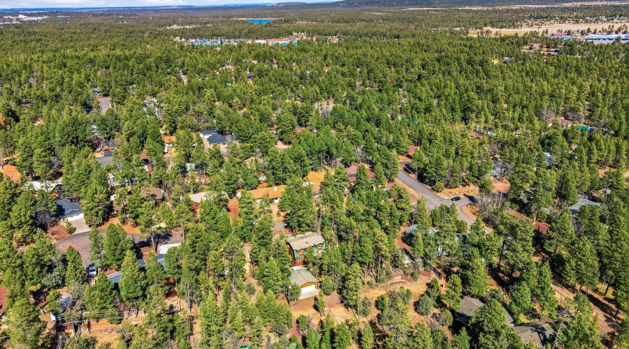 4893BigPineDr-Lakeside-AZ-43