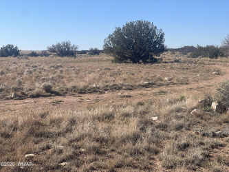 1515 Pumpkin Patch, Heber, Arizona 85928, ,Land,For Sale,Pumpkin Patch,259736