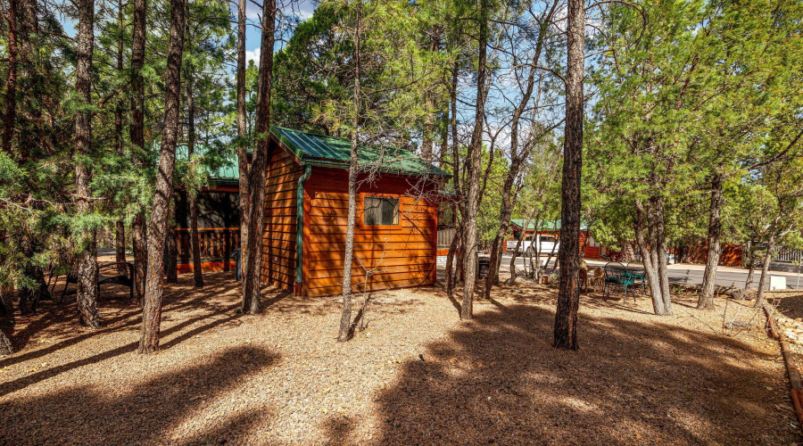 2161ElizabethAve-ShowLow-AZ-21