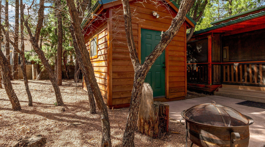 2161ElizabethAve-ShowLow-AZ-19