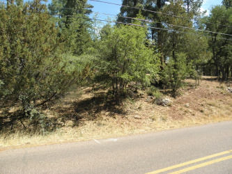6454 BRADSHAW Drive, Pine, Arizona 85544, ,Land,For Sale,BRADSHAW,93514