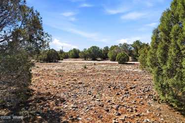 8396 Bear Meadow Drive, Show Low, Arizona 85901, ,Land,For Sale,Bear Meadow,259746