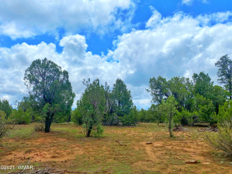 TBD Bear Heights, Heber, Arizona 85928, ,Land,For Sale,Bear Heights,259747
